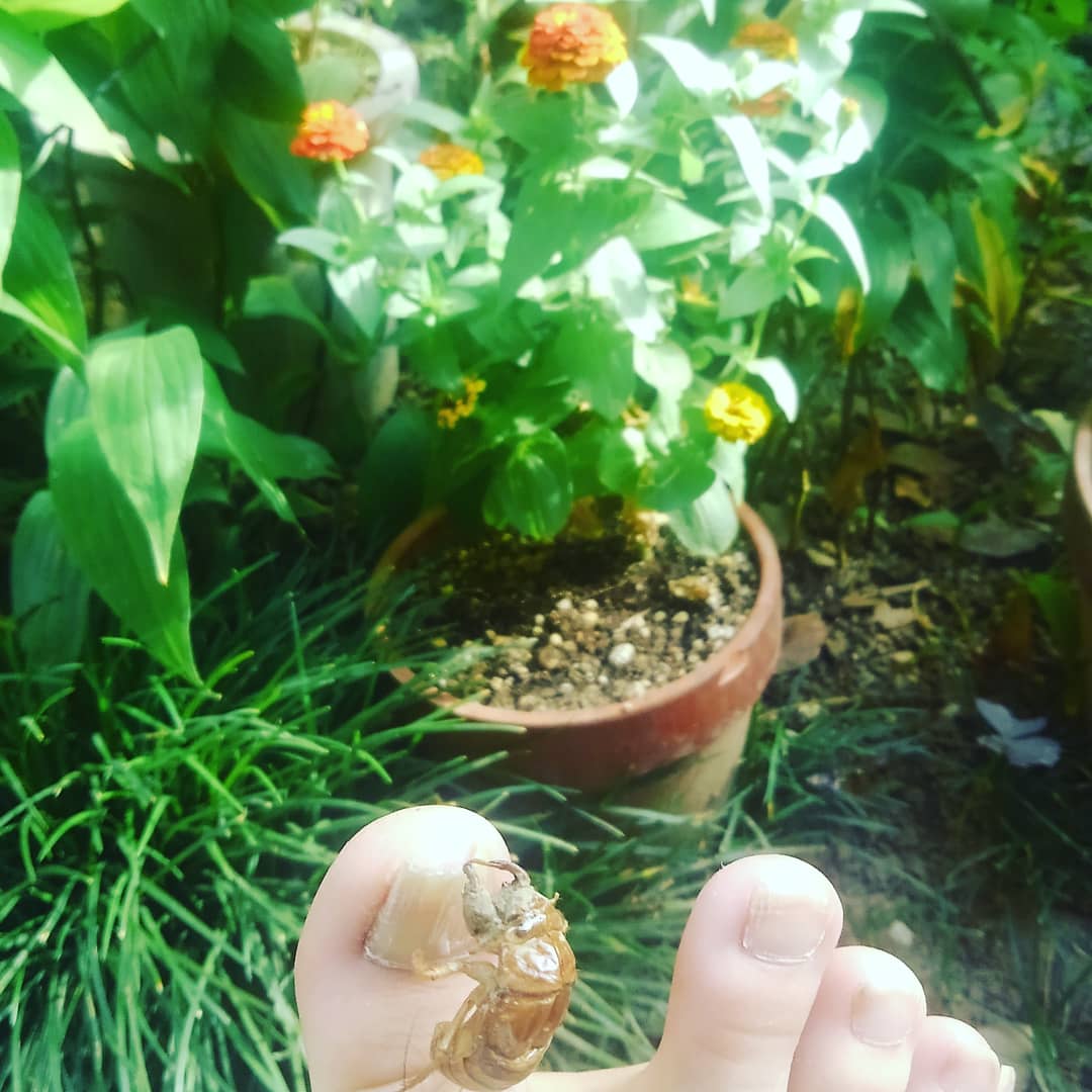 f:id:createman:20190819232424j:plain