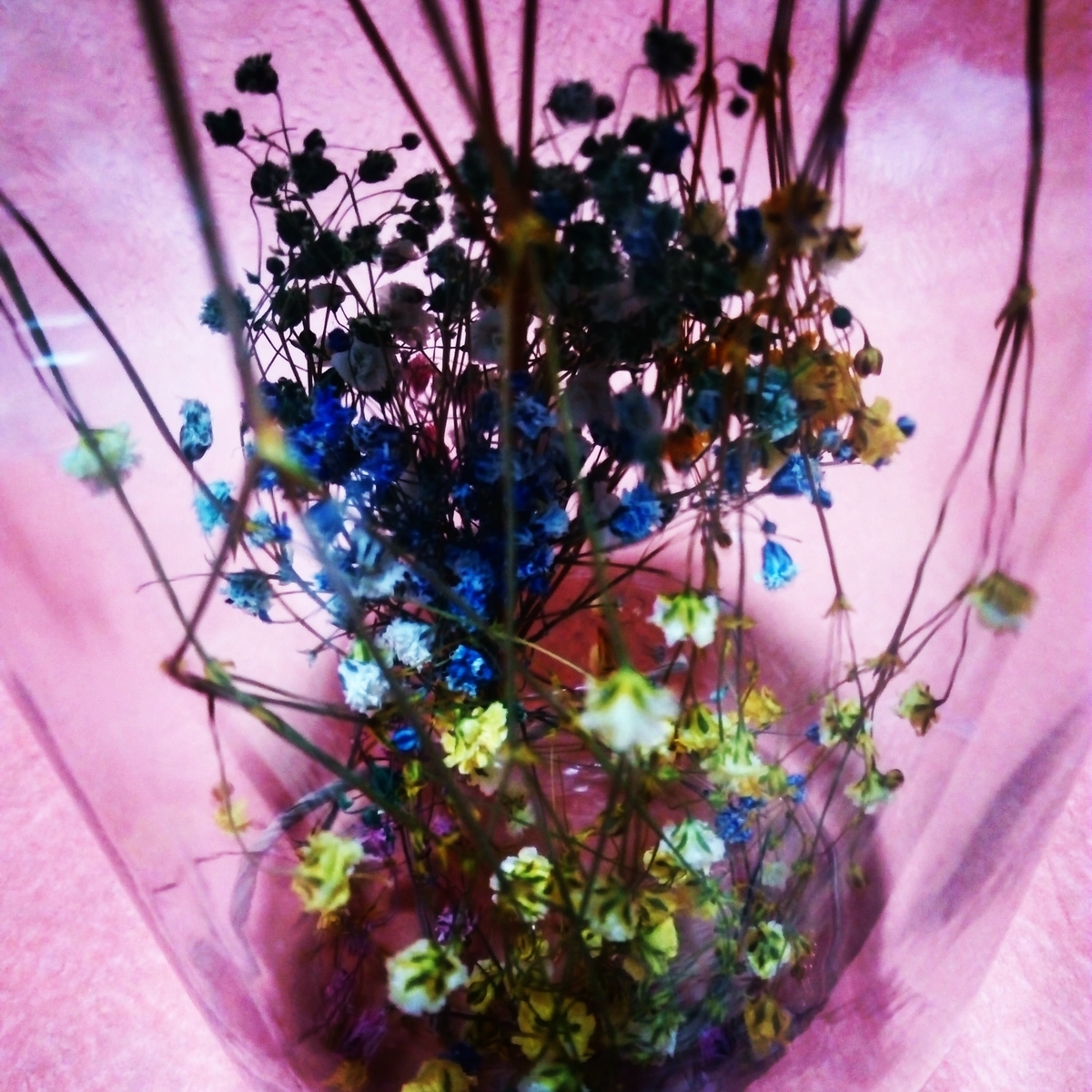 f:id:createman:20190824030558j:plain