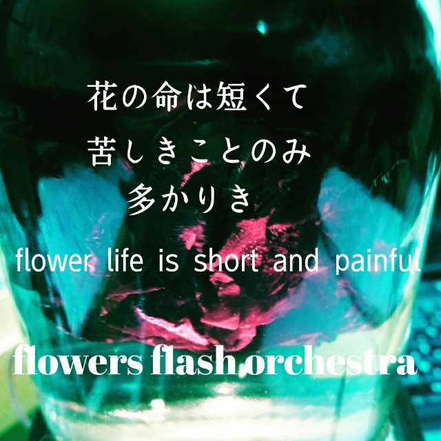 f:id:createman:20190826223130j:image