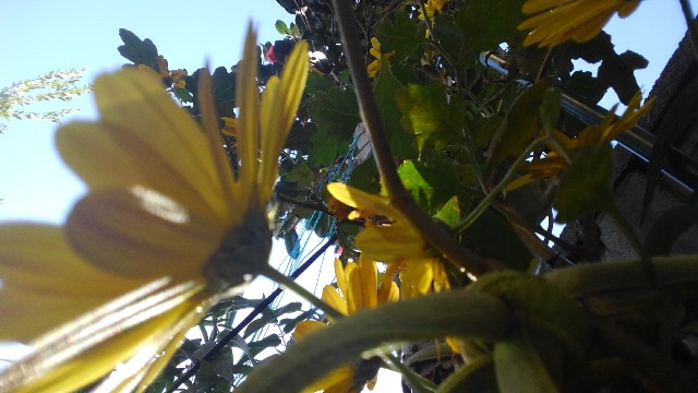 f:id:createman:20191205025926j:image