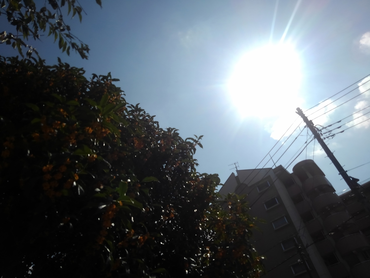 f:id:createman:20201003230312j:plain f:id:createman:20201003230312j:plain