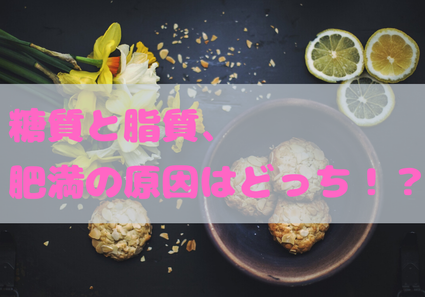 f:id:createnewyou:20191118093330p:plain f:id:createnewyou:20191118093330p:plain