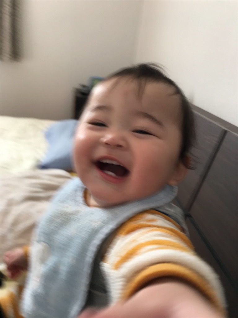 f:id:creatorxcreator:20180115230005j:image