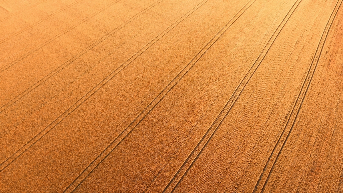 f:id:credit_robo:20211020011700j:plain