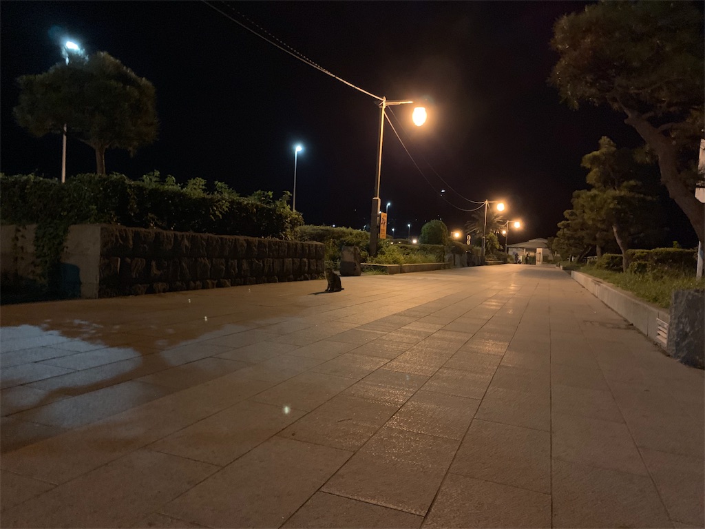 f:id:creep_yez300:20190909000337j:image