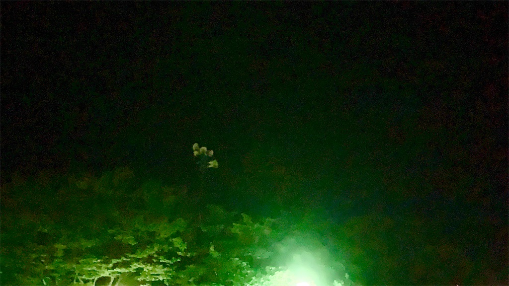 f:id:creep_yez300:20190909002114j:image