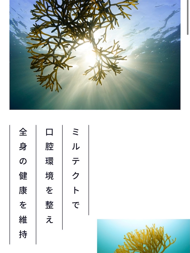 f:id:creerbiyou:20260708221823j:image