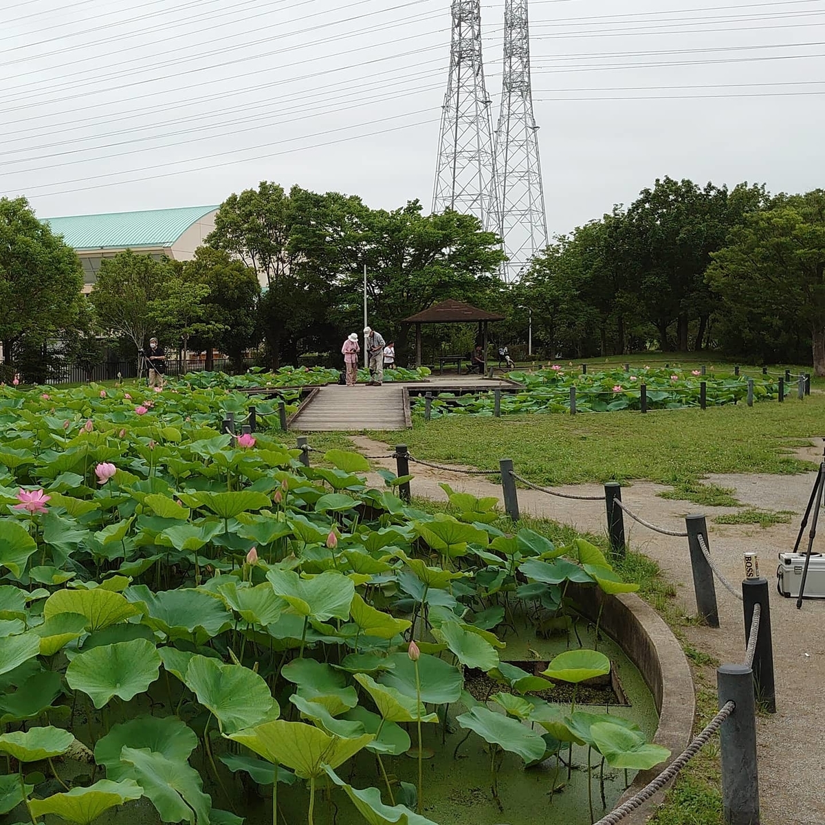 f:id:crescendo-bulk78:20200628175238j:plain f:id:crescendo-bulk78:20200628175238j:plain