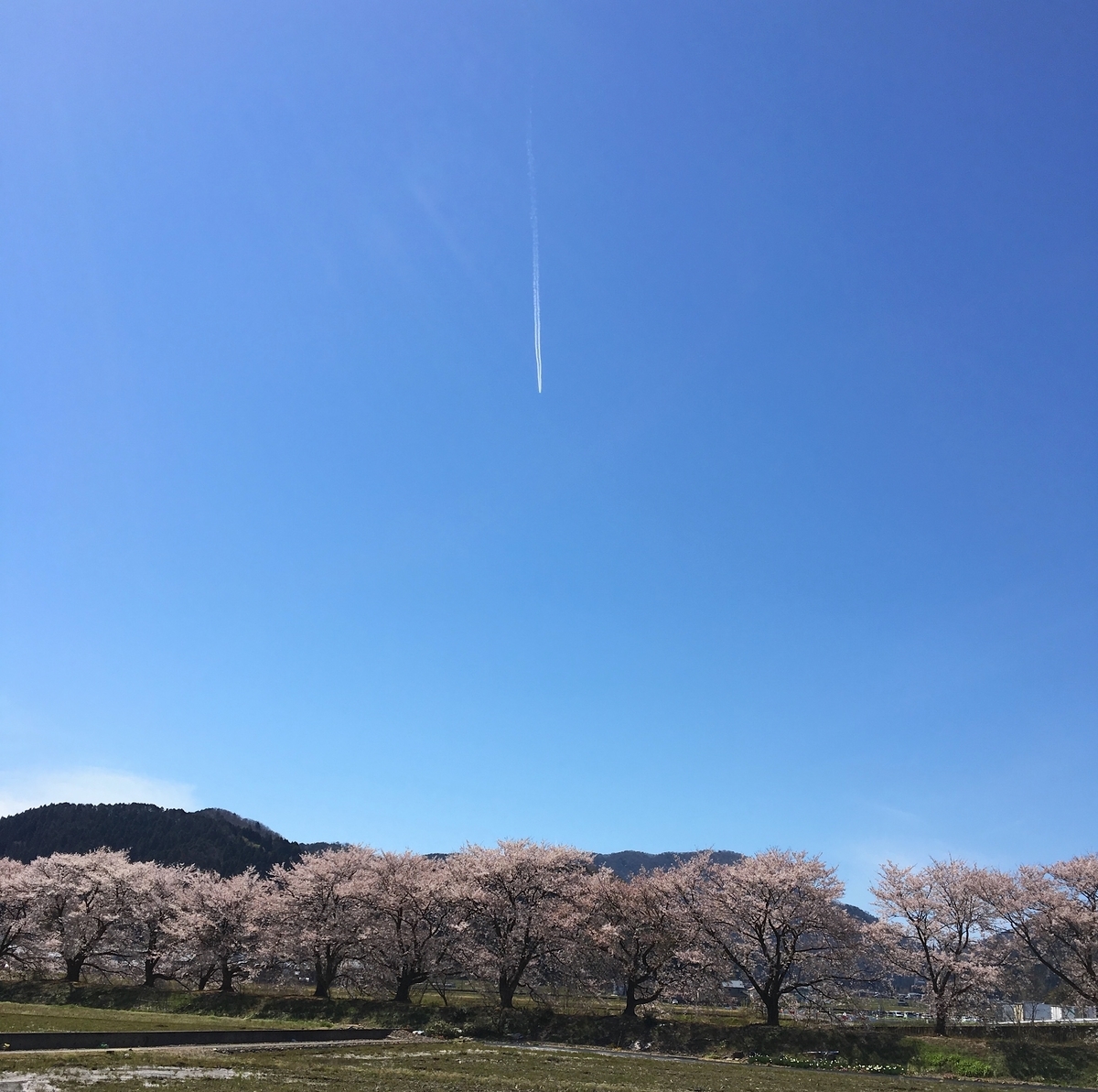 f:id:crescente:20190416164852j:plain f:id:crescente:20190416164852j:plain