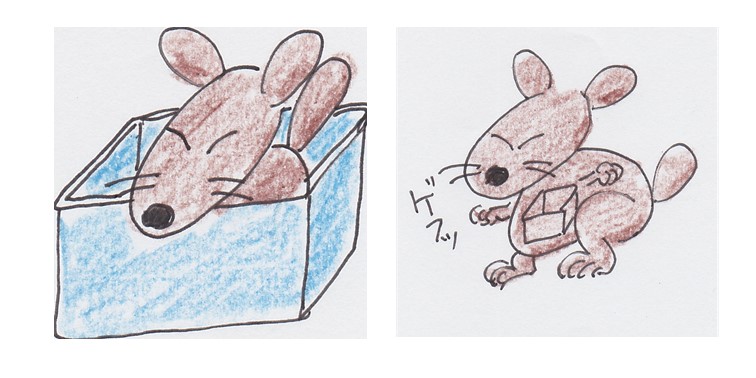 f:id:crescentmano:20190408231701j:plain f:id:crescentmano:20190408231701j:plain