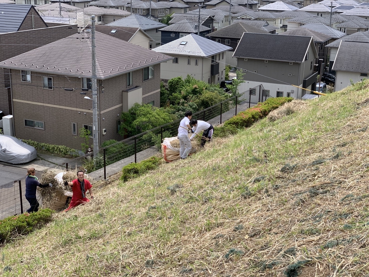 f:id:crescentmano:20190601154102j:plain f:id:crescentmano:20190601154102j:plain