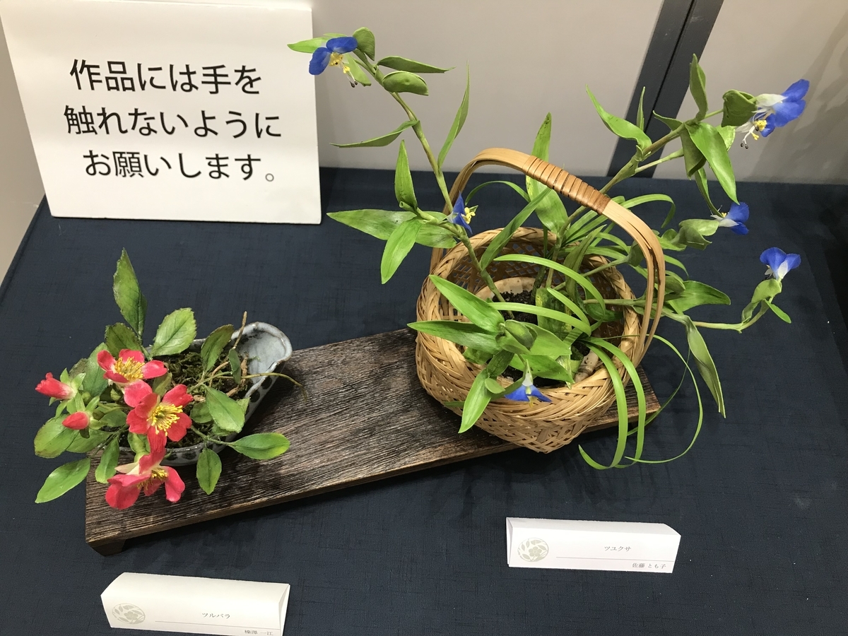 f:id:crescentmano:20191126235911j:plain