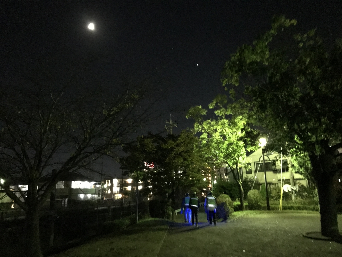 f:id:crescentmano:20201024211101j:plain