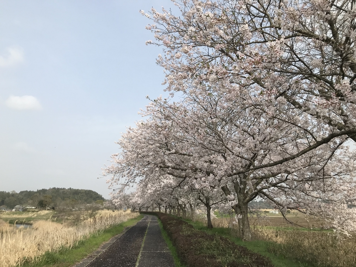 f:id:crescentmano:20210331010120j:plain