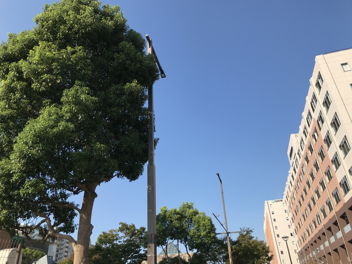 f:id:crescentmano:20210924212044j:plain