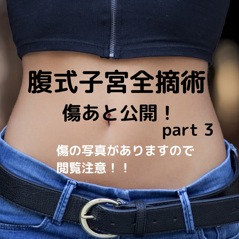 f:id:crescentmoon7:20200526145355p:plain f:id:crescentmoon7:20200526145355p:plain
