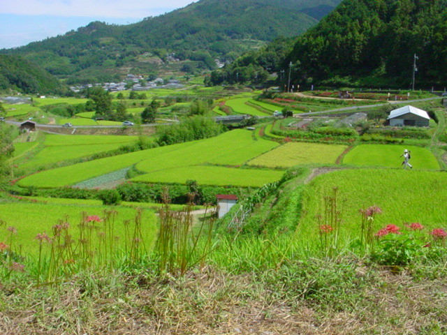 f:id:cresent615:20040921111205j:plain f:id:cresent615:20040921111205j:plain