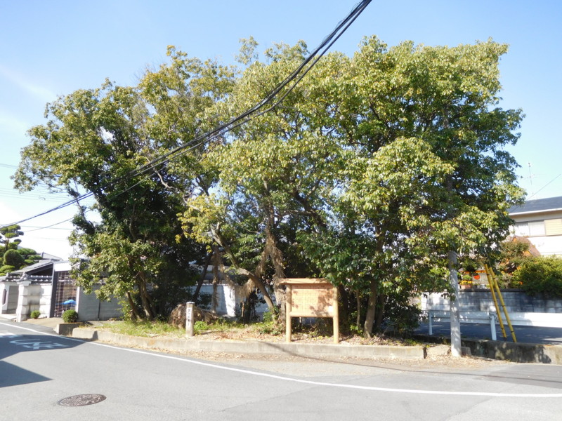 f:id:cresent615:20161113115553j:plain