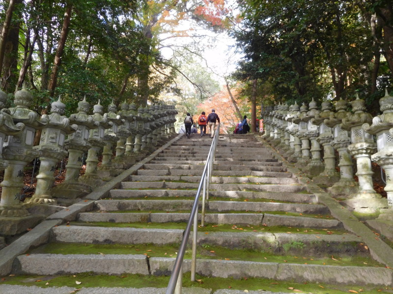 f:id:cresent615:20161123110418j:plain