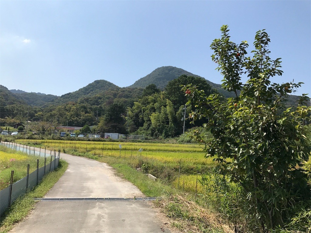 f:id:cresent615:20170926152117j:plain