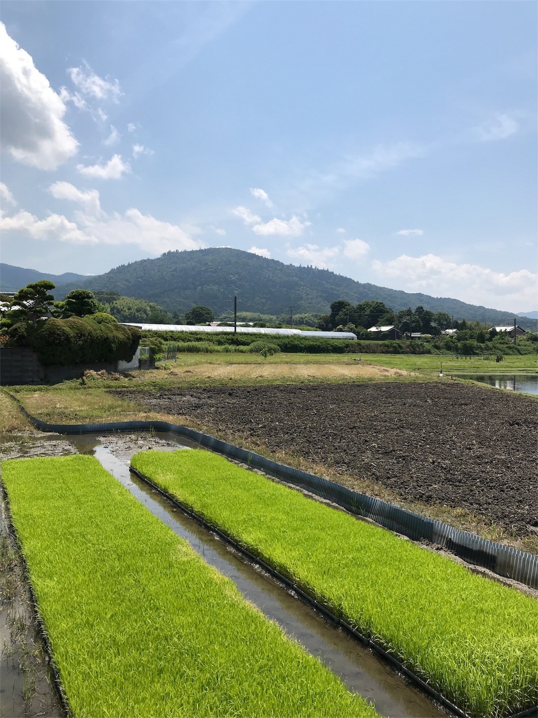 f:id:cresent615:20180603102732j:plain f:id:cresent615:20180603102732j:plain