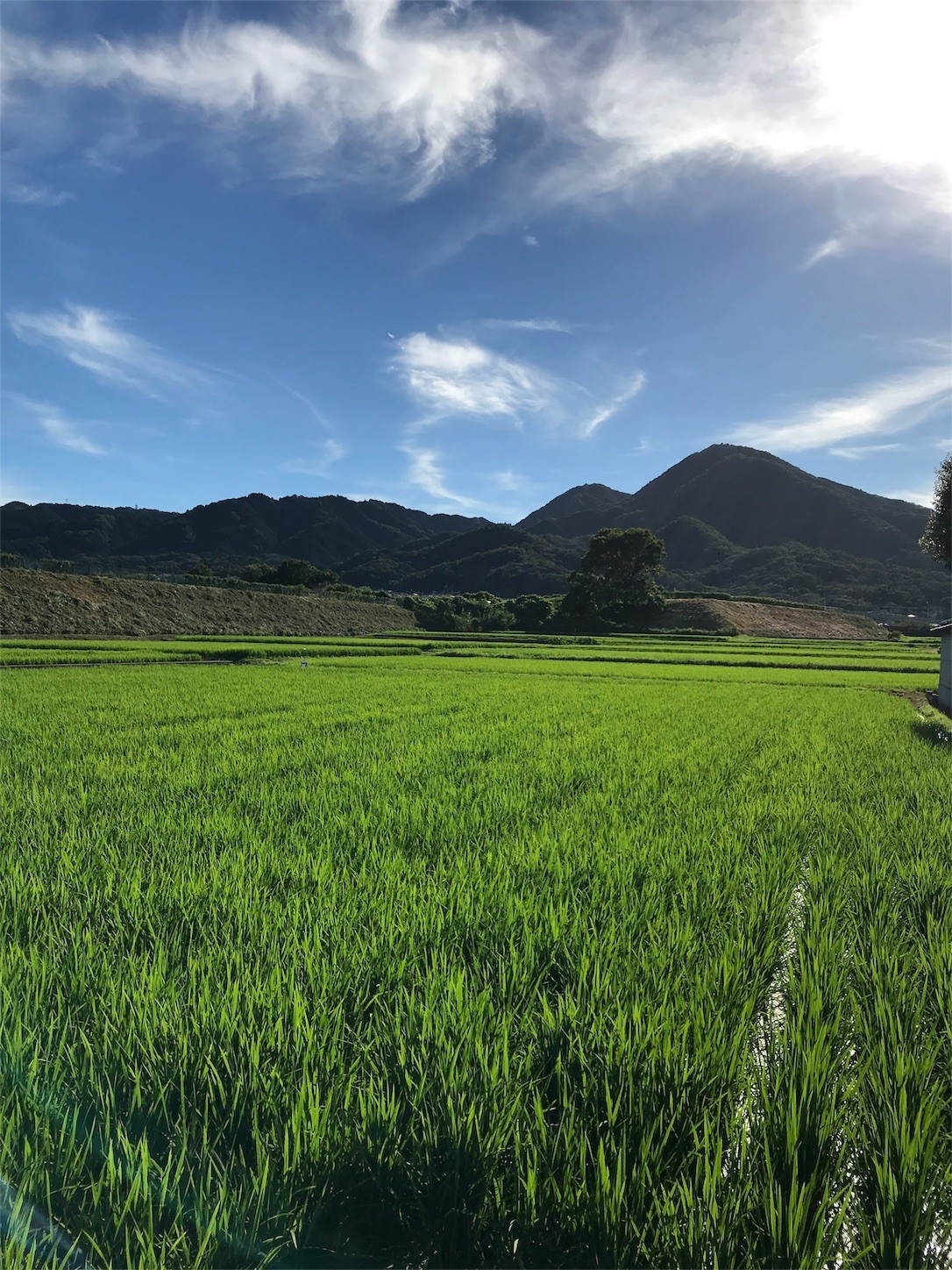 f:id:cresent615:20180722164504j:plain f:id:cresent615:20180722164504j:plain