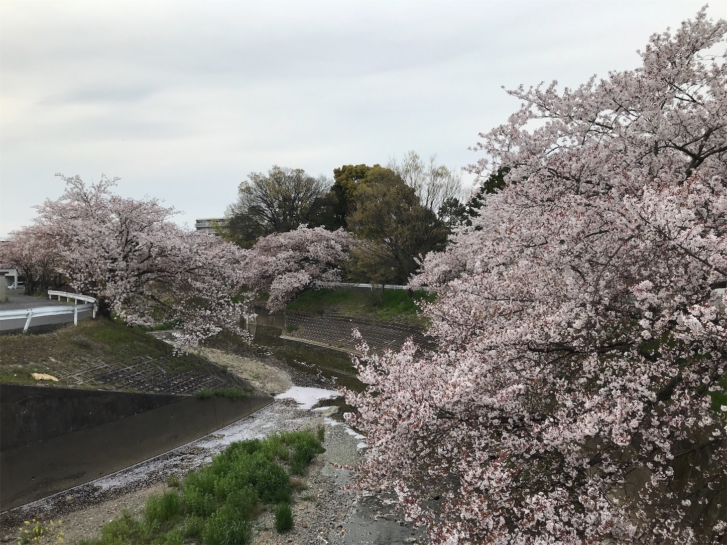 f:id:cresent615:20190413165617j:plain
