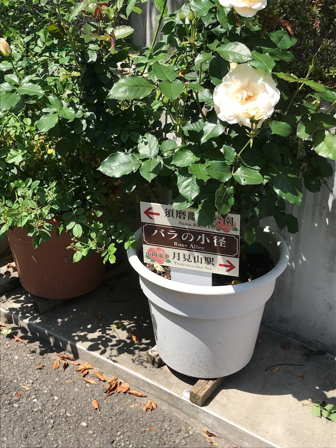 f:id:cresent615:20190505133022j:plain