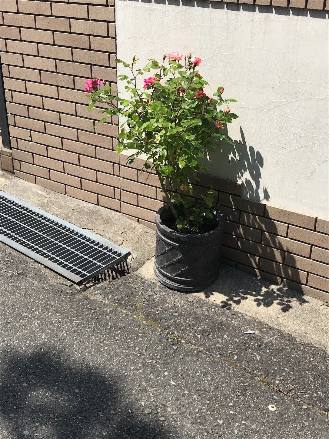 f:id:cresent615:20190505133054j:plain
