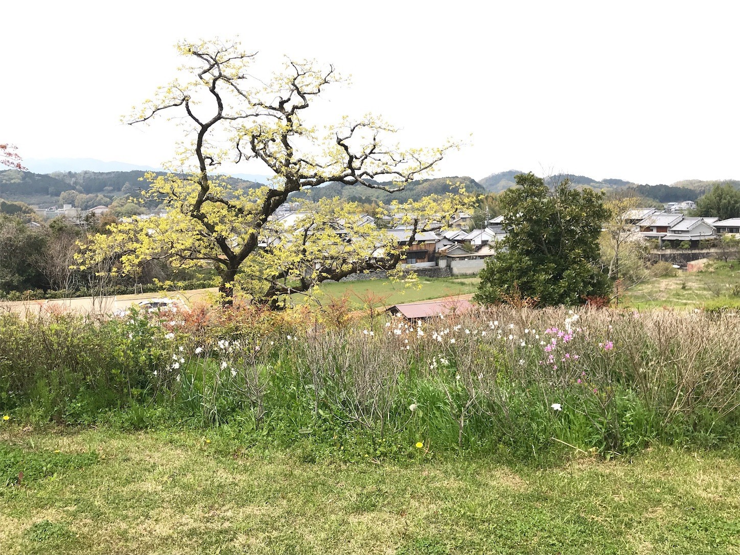 f:id:cresent615:20200417114450j:plain