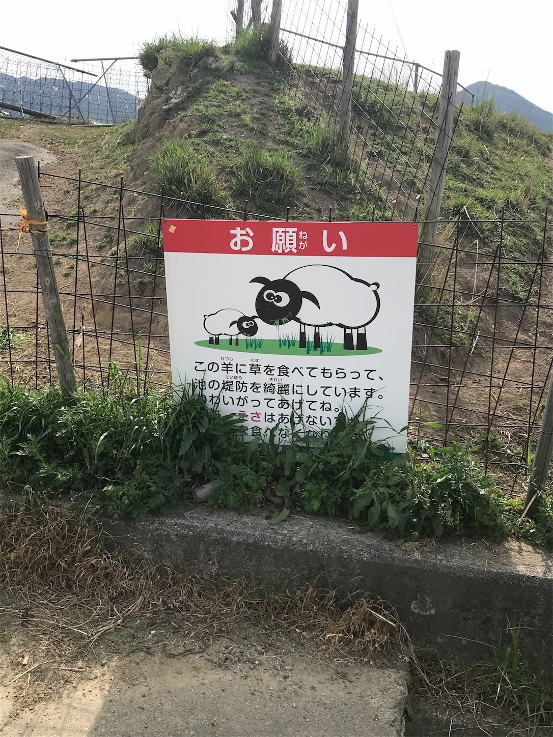 f:id:cresent615:20200505152747j:plain f:id:cresent615:20200505152747j:plain