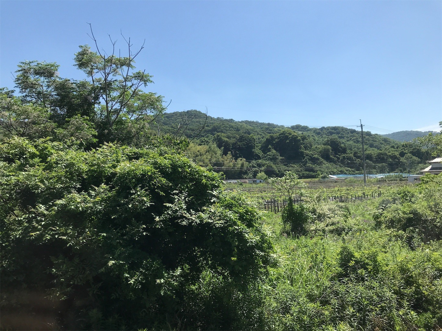 f:id:cresent615:20200528092522j:image