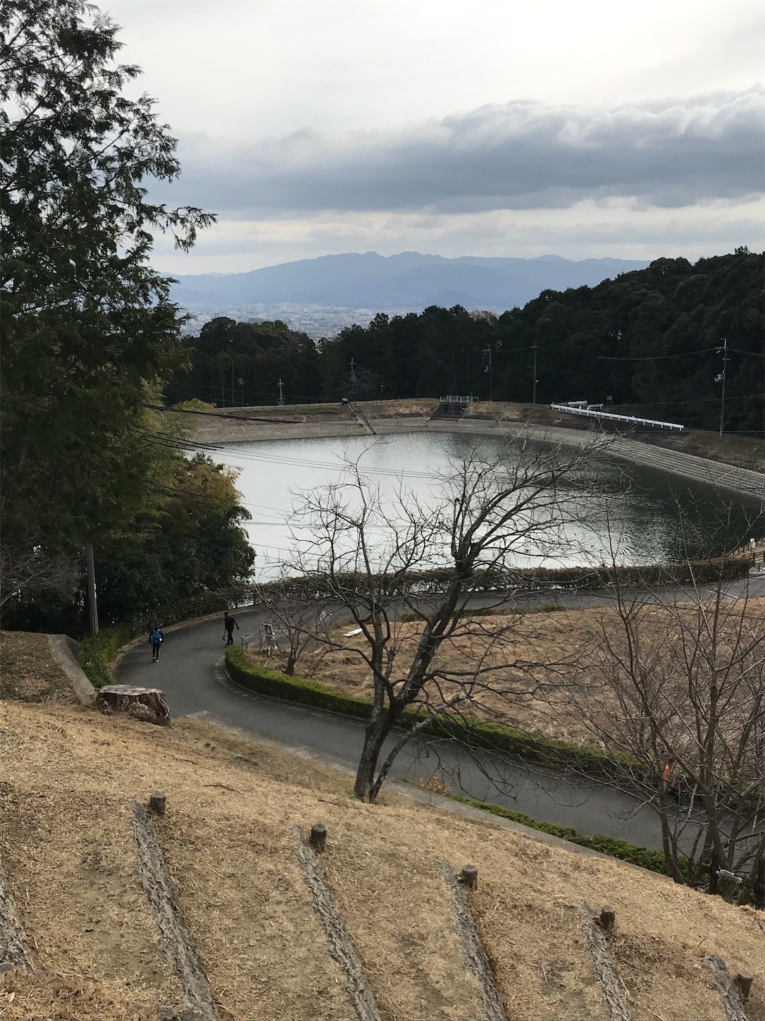 f:id:cresent615:20210103102503j:plain