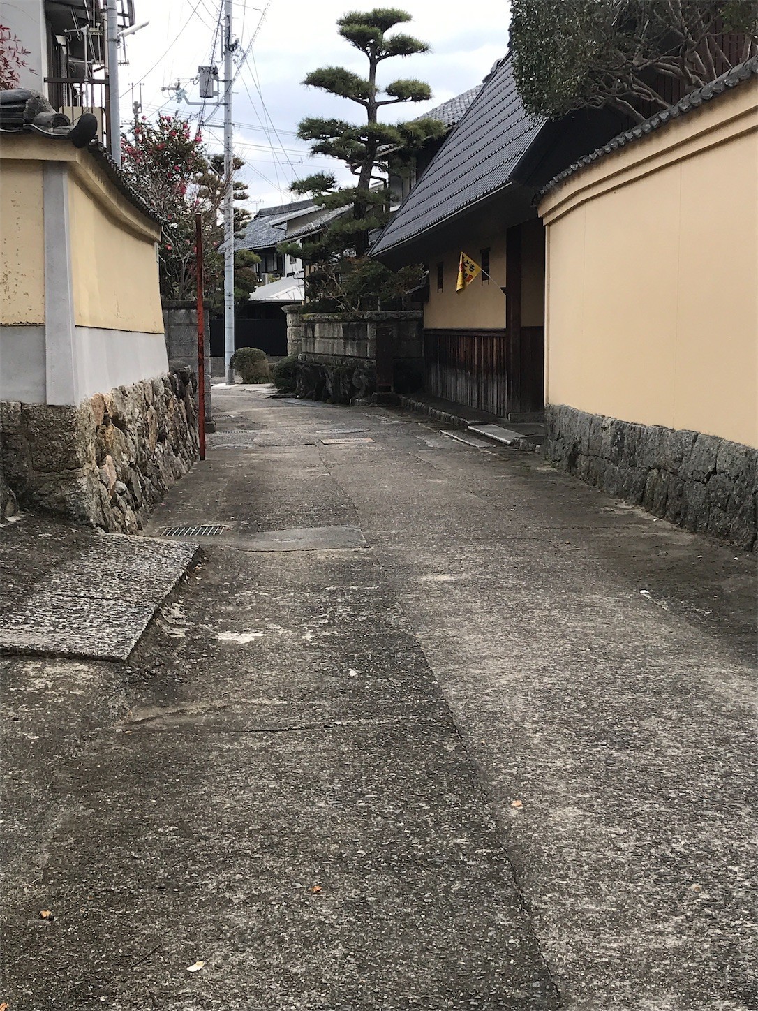 f:id:cresent615:20210103110612j:plain