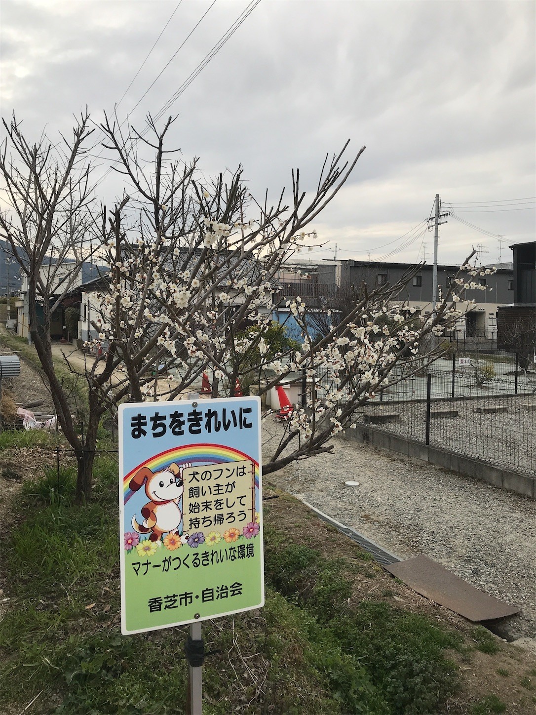 f:id:cresent615:20210225171336j:plain
