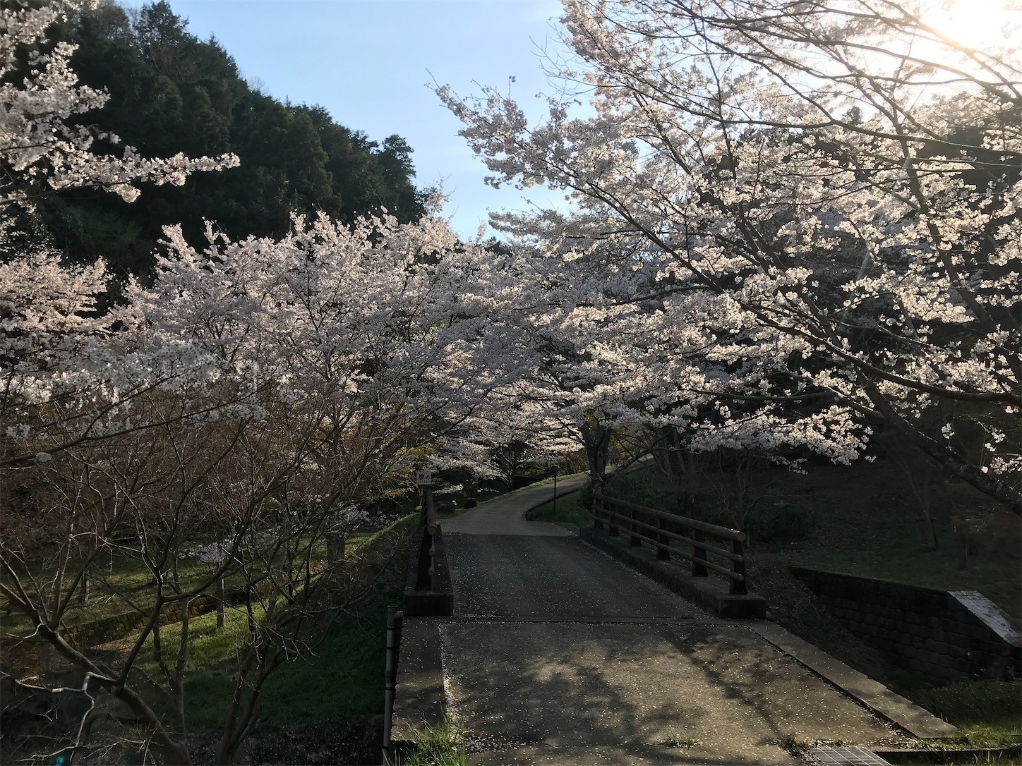 f:id:cresent615:20210328141639j:plain