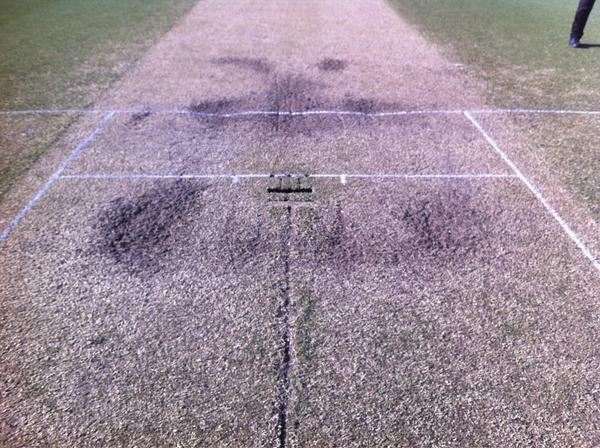 f:id:cricketmag:20191223180950j:plain f:id:cricketmag:20191223180950j:plain