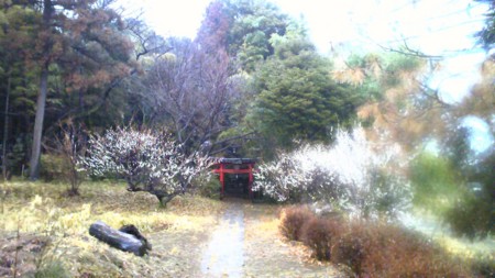 f:id:crimewave:20110228165545j:image