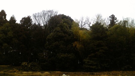 f:id:crimewave:20110228170114j:image