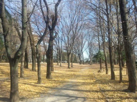 f:id:crimewave:20121214111610j:image