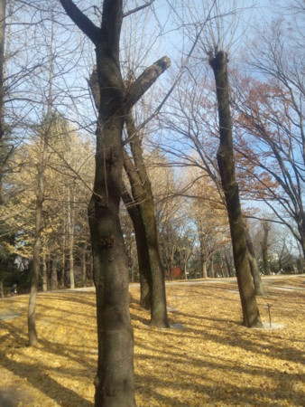 f:id:crimewave:20121214111621j:image