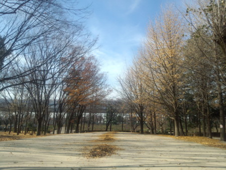 f:id:crimewave:20121214111710j:image