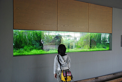 f:id:crimu:20100502143047j:image f:id:crimu:20100502143047j:image