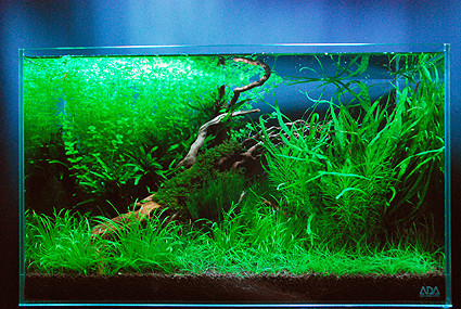 f:id:crimu:20100526003526j:image f:id:crimu:20100526003526j:image