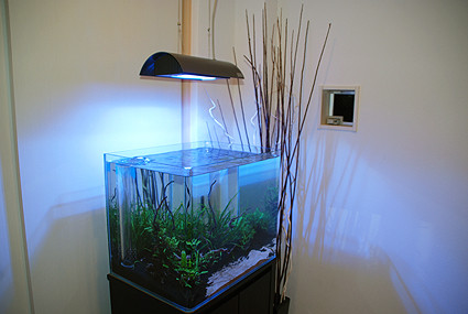 f:id:crimu:20101017201116j:image f:id:crimu:20101017201116j:image