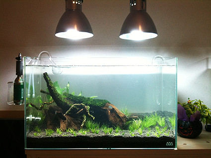 f:id:crimu:20101026022715j:image f:id:crimu:20101026022715j:image