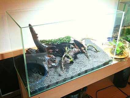 f:id:crimu:20101026022824j:image f:id:crimu:20101026022824j:image