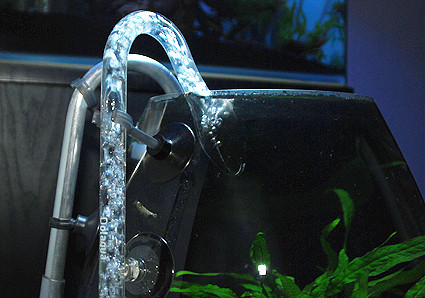 f:id:crimu:20101129000920j:image f:id:crimu:20101129000920j:image