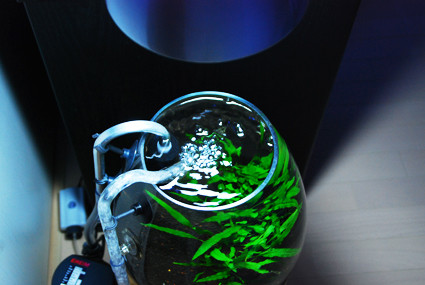 f:id:crimu:20101129001015j:image f:id:crimu:20101129001015j:image