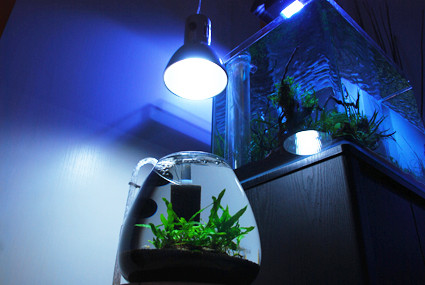 f:id:crimu:20101129001046j:image f:id:crimu:20101129001046j:image